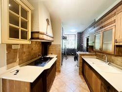Mount Faber Lodge (D4), Condominium #551131271